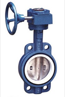 襯氟對夾式蝶閥